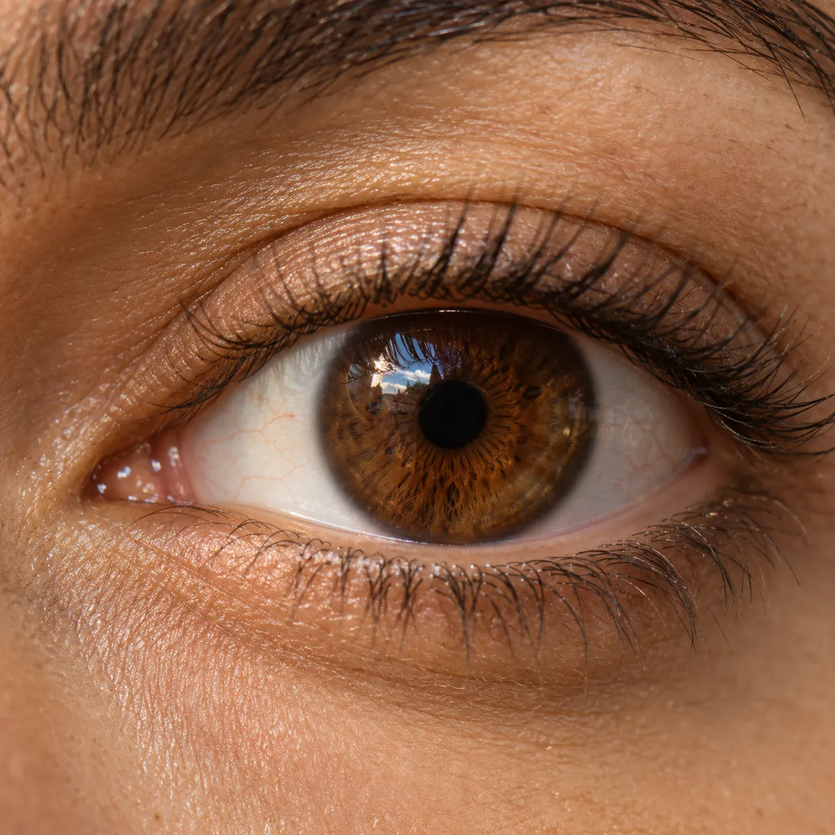 A close-up of a clear brown eye